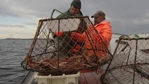 nl-fishing-20130528