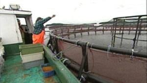 mi-ns-fish-farm-rejection