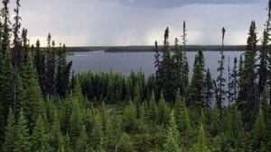 mi-boreal8692833-8col