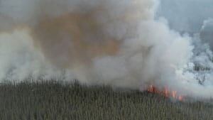 mi-mayo-fire-wed-june-12