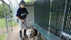 si-allergy-dog-220-cp-04370