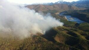 hi-grass-burn-2971-4col