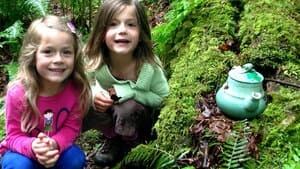 hi-bc-130704-teapot-hill-kerri-dibski-4col