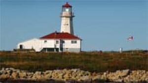 si-nb-machias-seal-island-2