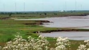 si-nb-tantramar-marsh-220
