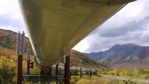 hi-bc-130128-pipeline-8col