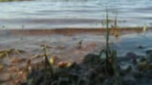 si-nb-lake-220