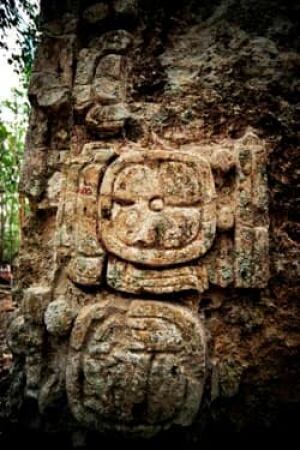 sm-250-stelae-closeup-rtx10v71