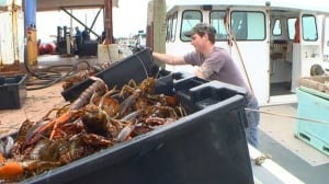 pe-hi-lobster-landing-8col