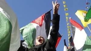 300-palestinian-cp-03657735