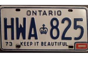 plate-300