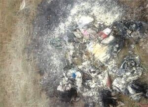 mi-bag-burned