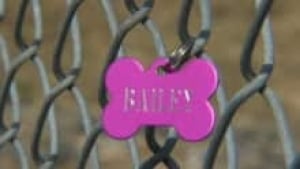 ns-dog-tag_220x124_1