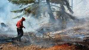 hi-bc-130716-wild-forest-fire-fighter-4col