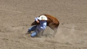hi-dead-steer-852-3col