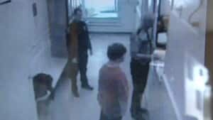 nl-dane-lockup-20121113