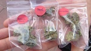 mi-ott-marijuana-300