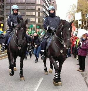 ii-montreal-horses-rally-30