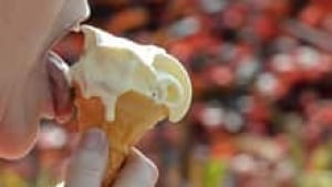 si-ice-cream-220-cp-rtr32gn