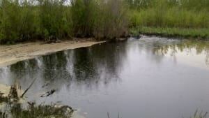 si-red-deer-river-overflow-300