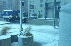mi-snowy