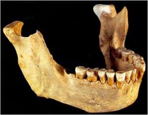 sm-300-neanderthal-jaw-12-07656large2