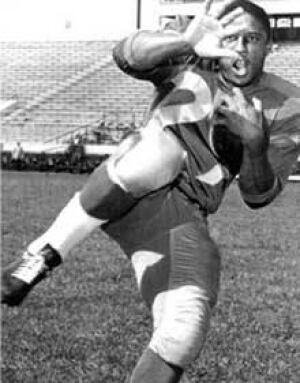 Leo Lewis