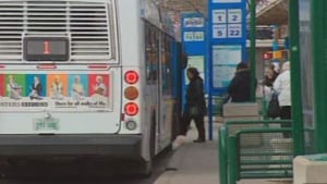 hi-bus-saskatoon