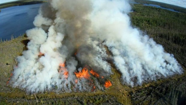 hi-prescribed-burn-852