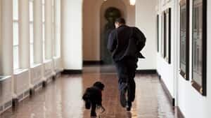 ii-obamajogtweet