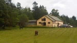 nb-dennis-oland-home-220