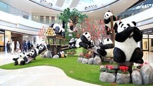 mi-pandas-300