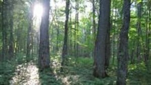 nb-protected-natural-area-f