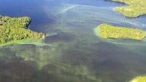 ns-si-lakevaughan