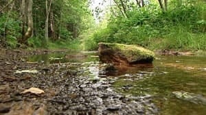 pe-mi-winter-river-stream