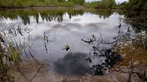 si-cgy-alta-oil-spill-02777