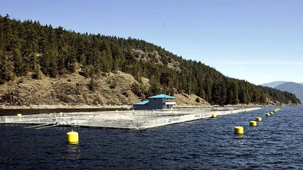 hi-salmon-bc-farm-617345