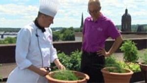 nb-bees-fredericton-hotel-chef