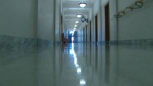 mi-legislature-shiny-floor