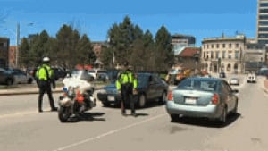 nb-sj-police-check