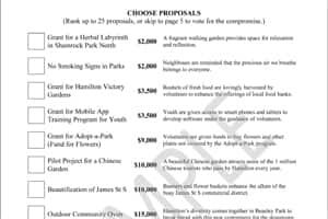 ii-sballot-3