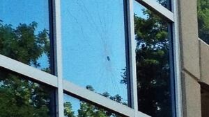 wdr-620-condo-shooting