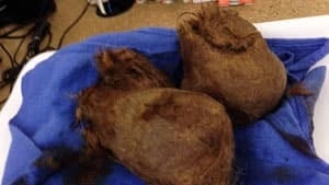 ii-tiger-hairball-04471989