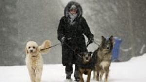 si-snow-220-cp-00100599