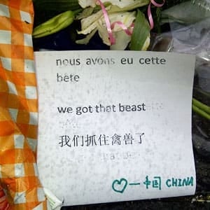 si-300-beast-note