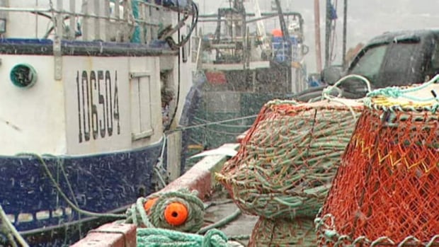 hi-shrimp-boats-20110405