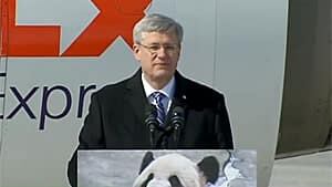 mi-300-harper-pandas-cbc
