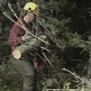 nl-logger-20130507