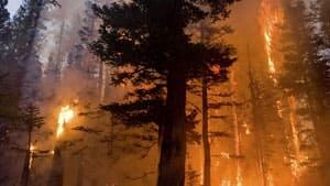 mi-wildfire-cp-rtr38q9u