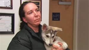 mi-shelley-cuthbert-whitehorse-shelter